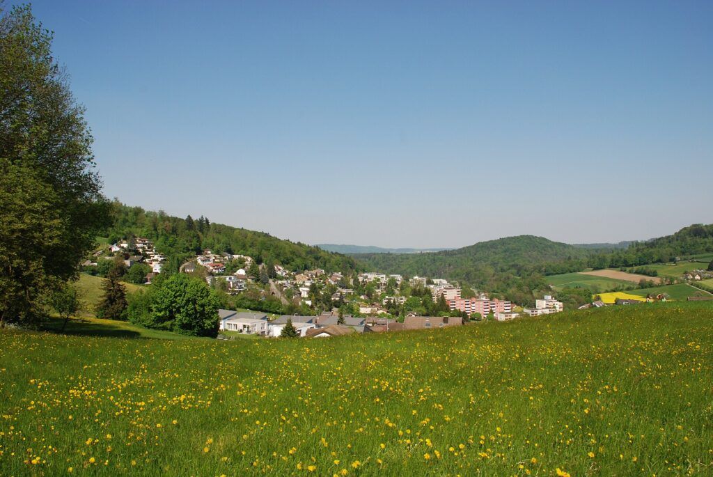 Dorfansicht von Rudolfstetten-Friedlisberg im Kanton Aargau