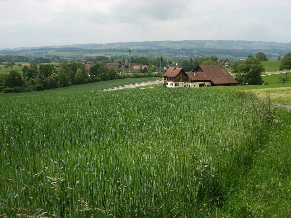 Ortsansicht von Maschwanden