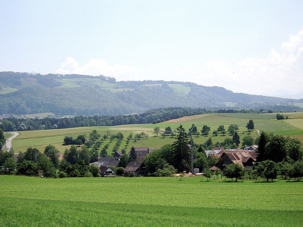 Ortsansicht von Rifferswil
